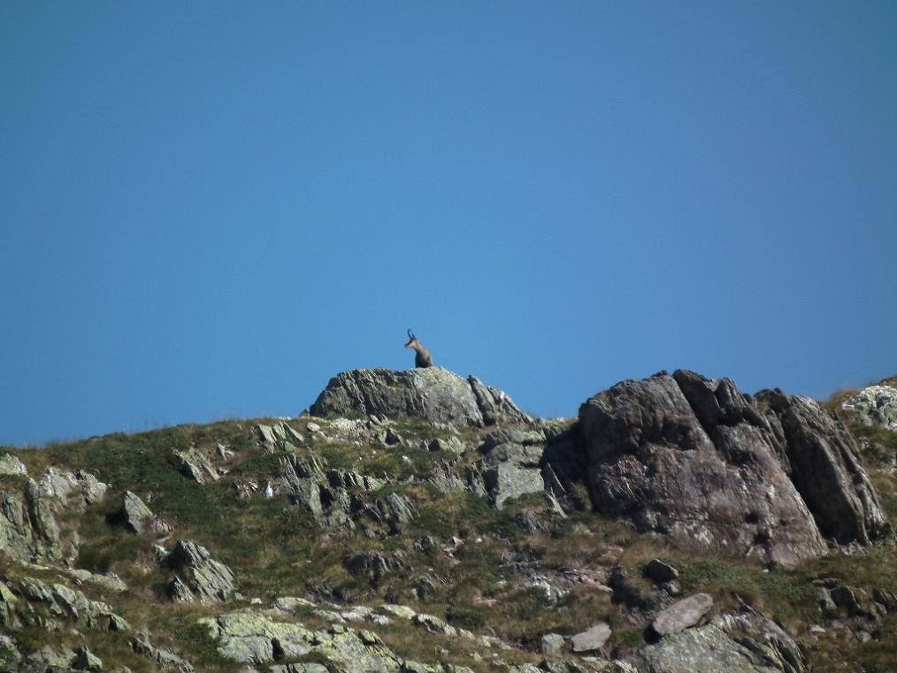 Itinerari per pochi (o quasi): Pizzo del Becco